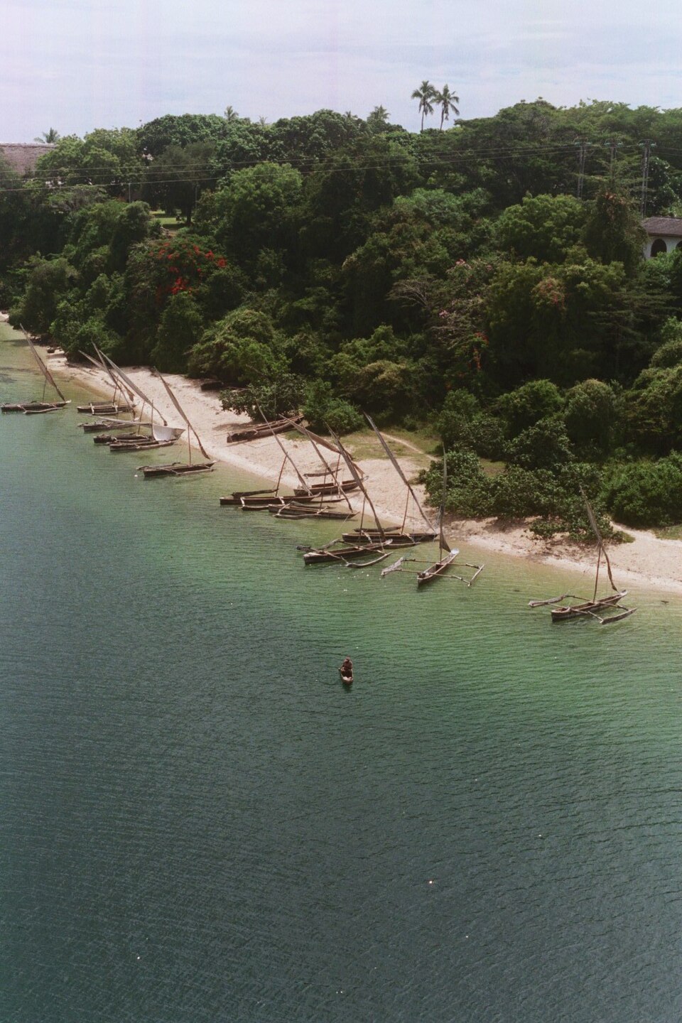 Traditional dhows moored in Kilifi Creek