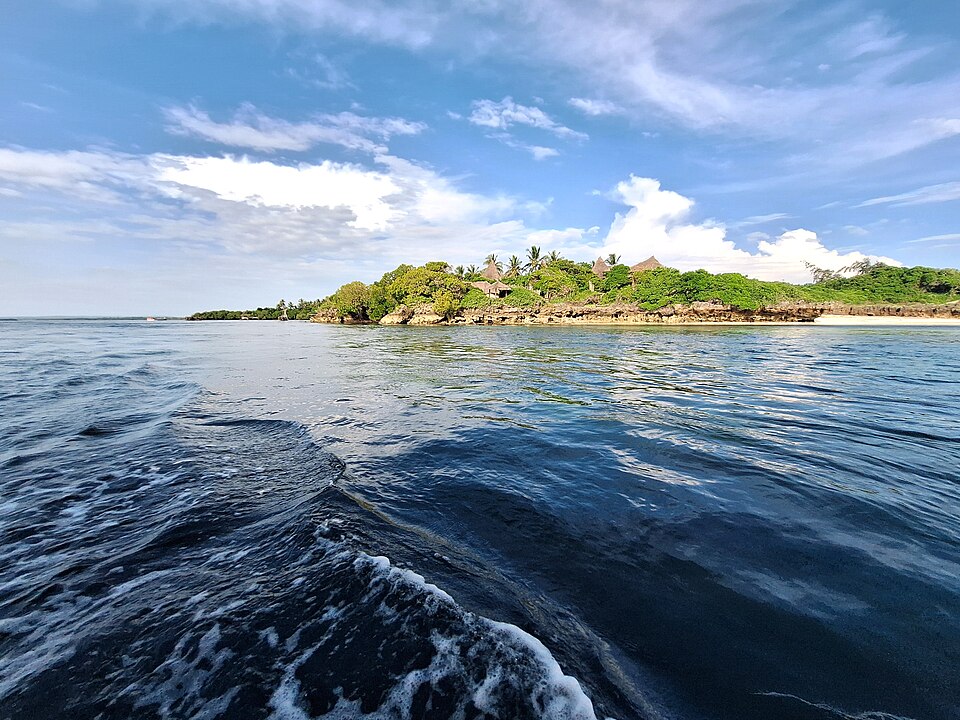 Water and mangrove scenery near Watamu Marine Park and Mida Creek