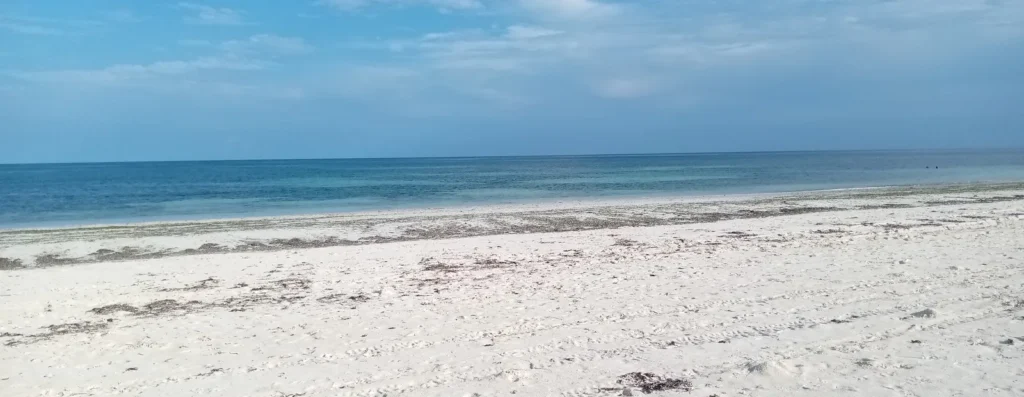 Wide white-sand shoreline at Bofa Public Beach in Kilifi, Kenya